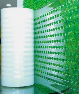 Perforated Film